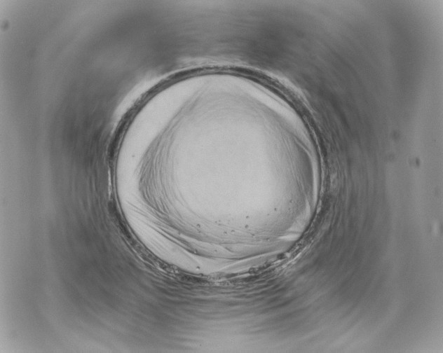 X0000069811271200606161840