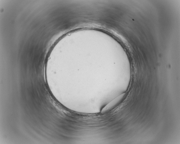 X0000069811272200606161840