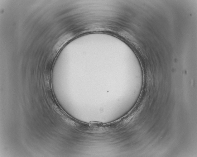 X0000069811273200606161840