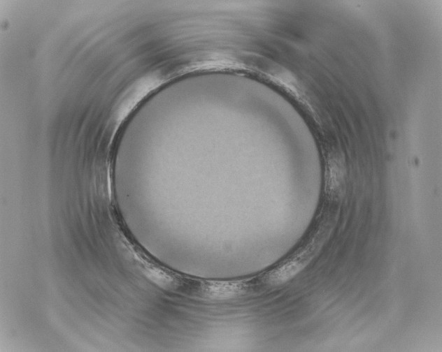 X0000069811274200606161840