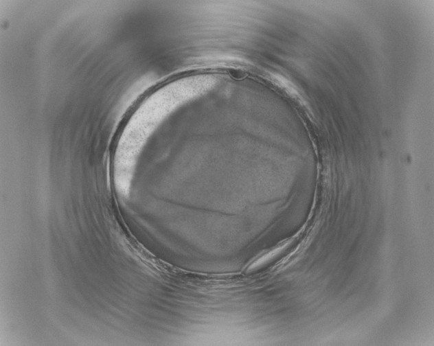 X0000069811275200606161840