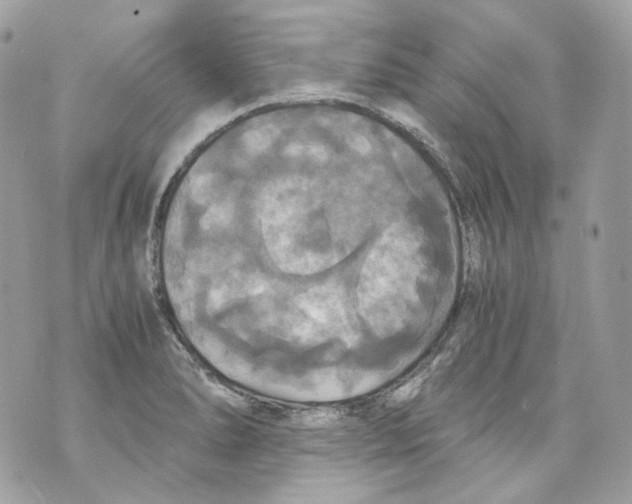 X0000069811278200606161840