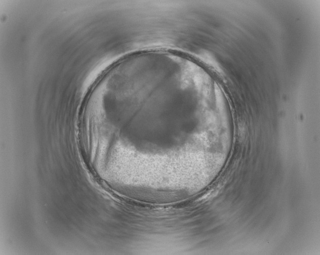 X0000069811279200606161840