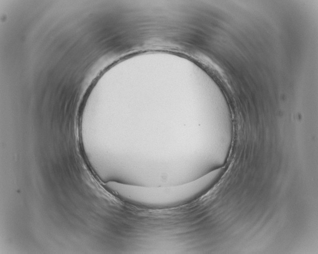 X0000069811280200606161840