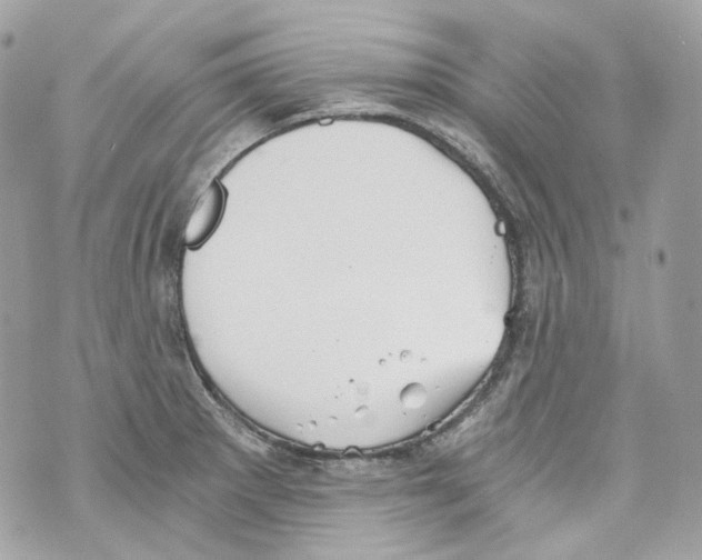 X0000069811281200606161840