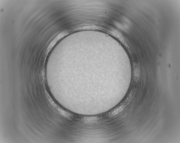 X0000069811282200606161840