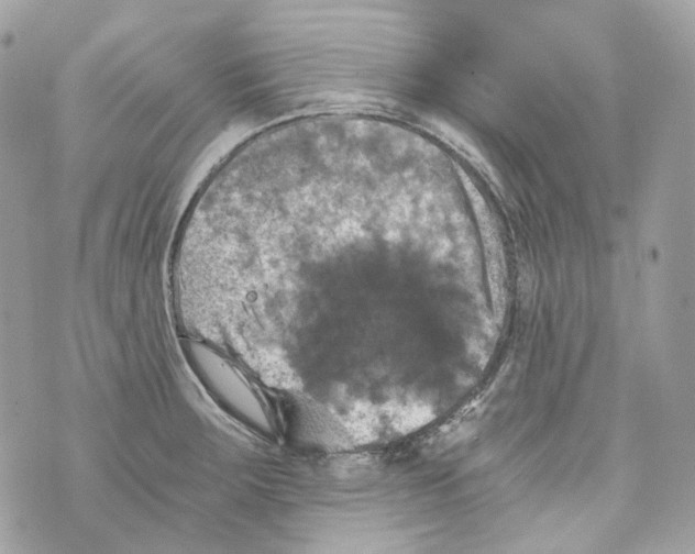 X0000069811283200606161840