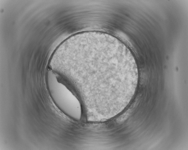 X0000069811284200606161840