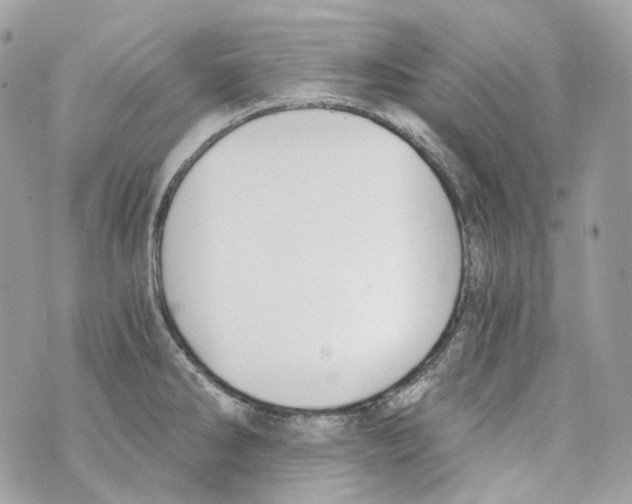 X0000069811286200606161840