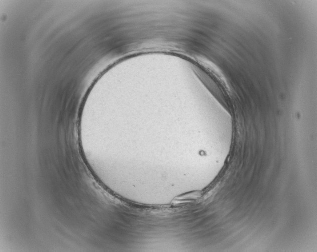 X0000069811288200606161840