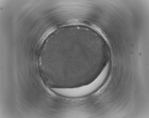 X0000069811289200606161840