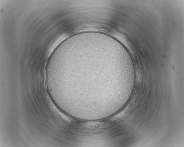 X0000069811290200606161840