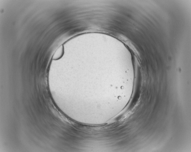 X0000069811292200606161840