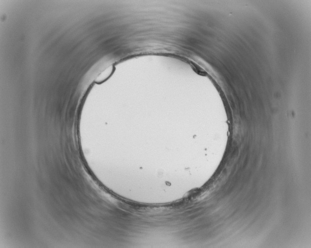 X0000069811293200606161840