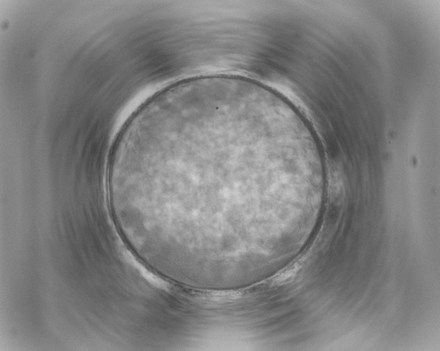 X0000069811294200606161840