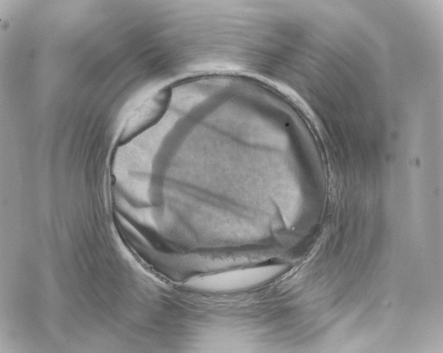 X0000069811295200606161840