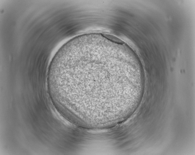 X0000069811296200606161840