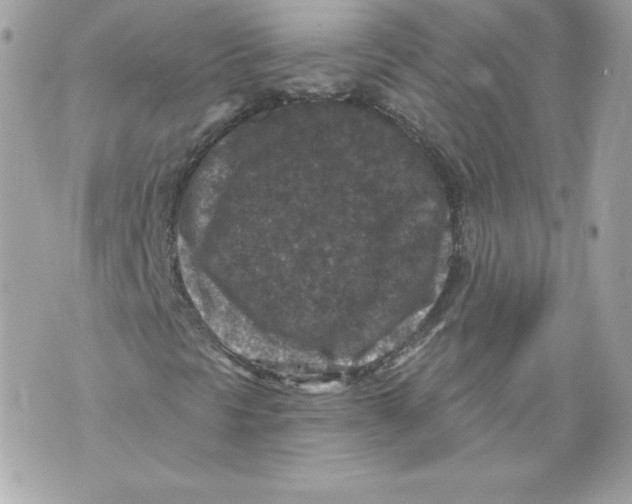 X0000069811297200606161839