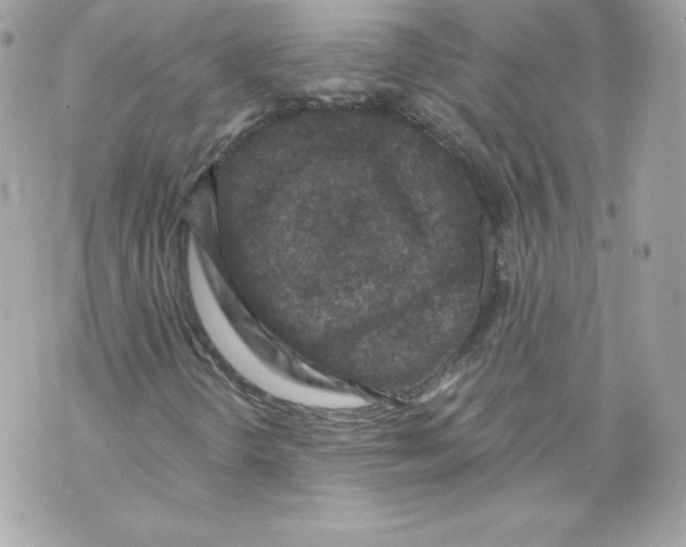 X0000069811298200606161839