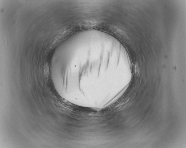 X0000069811299200606161839