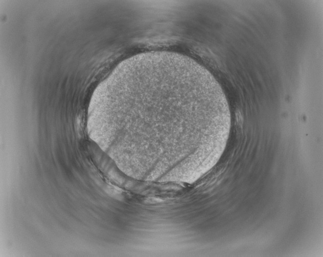 X0000069811300200606161839