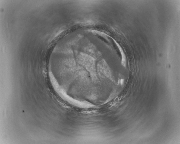 X0000069811301200606161839