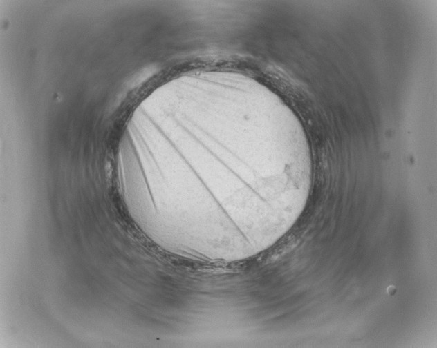 X0000069811302200606161839