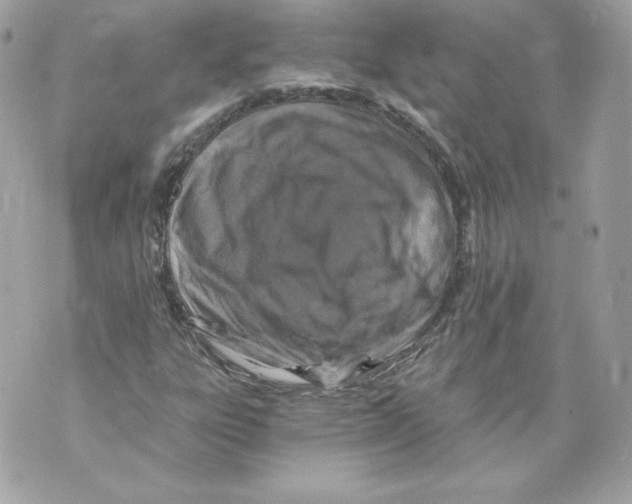 X0000069811303200606161839