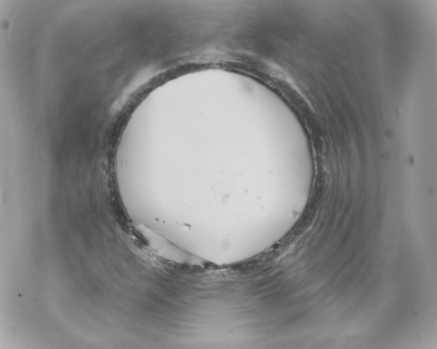 X0000069811304200606161839