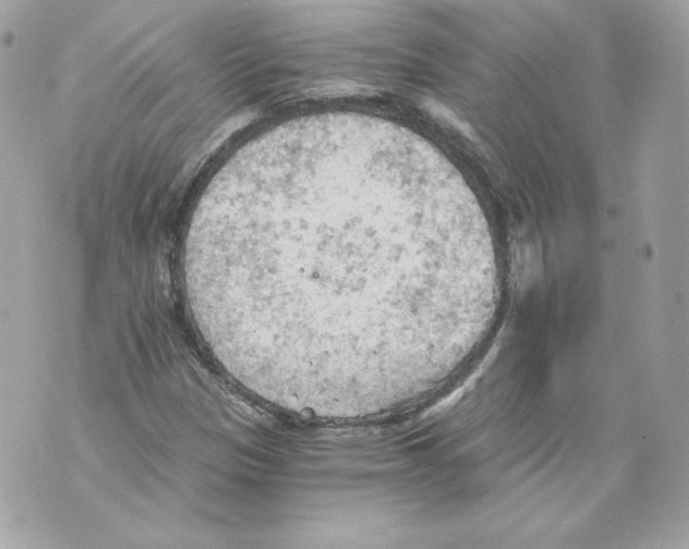 X0000069811305200606161839