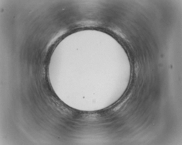 X0000069811309200606161839