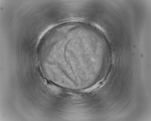 X0000069811310200606161839