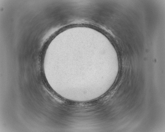 X0000069811311200606161839