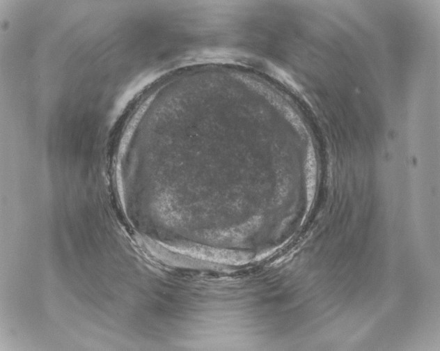 X0000069811312200606161839