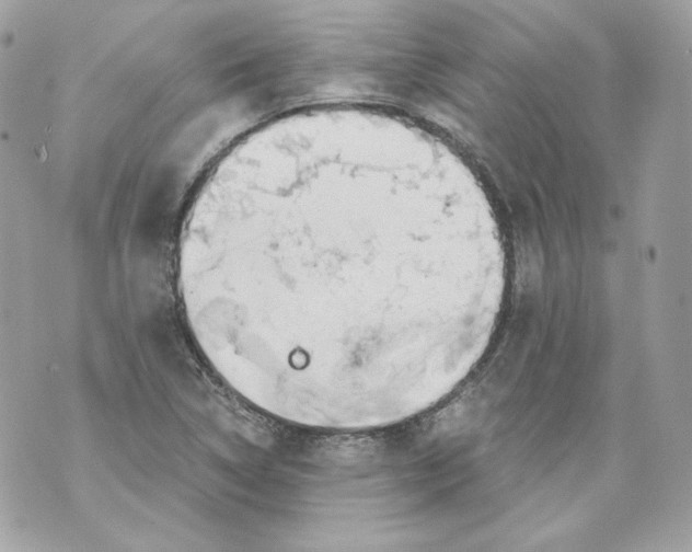 X0000069811314200606161839