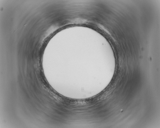 X0000069811315200606161839