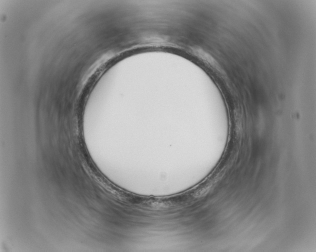 X0000069811318200606161839