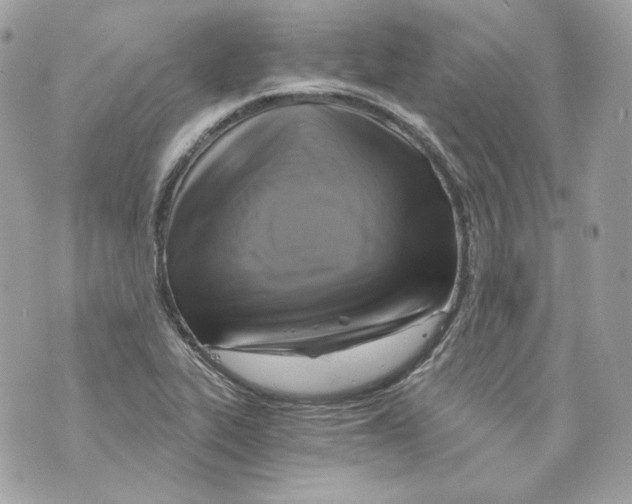 X0000069811319200606161839