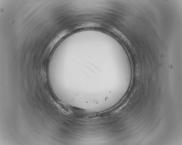 X0000069811321200606161839