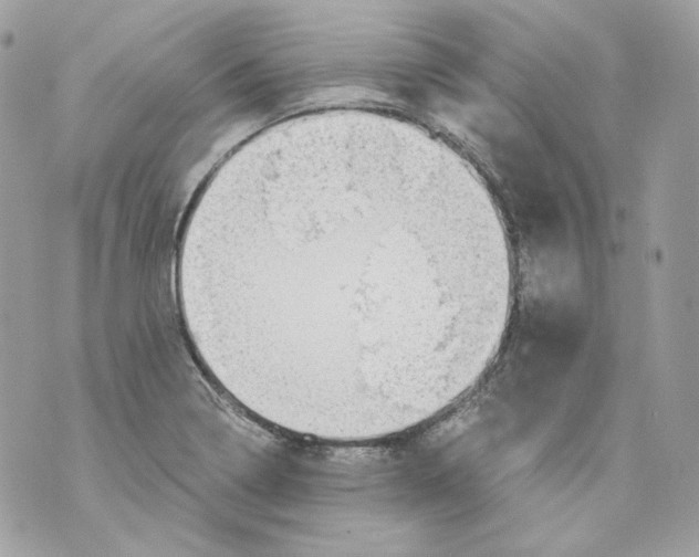 X0000069811322200606161839