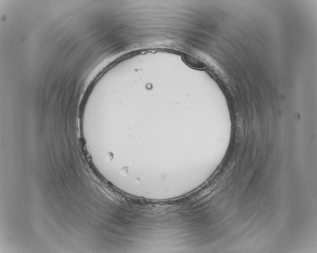 X0000069811324200606161839