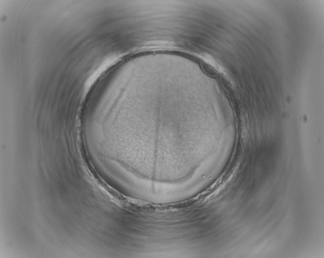 X0000069811325200606161839