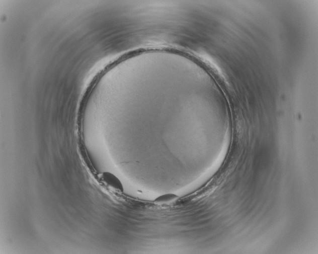 X0000069811327200606161839