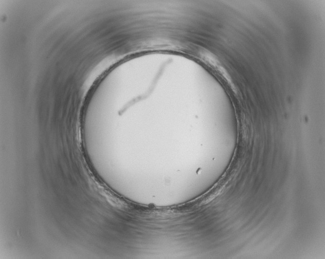 X0000069811328200606161839