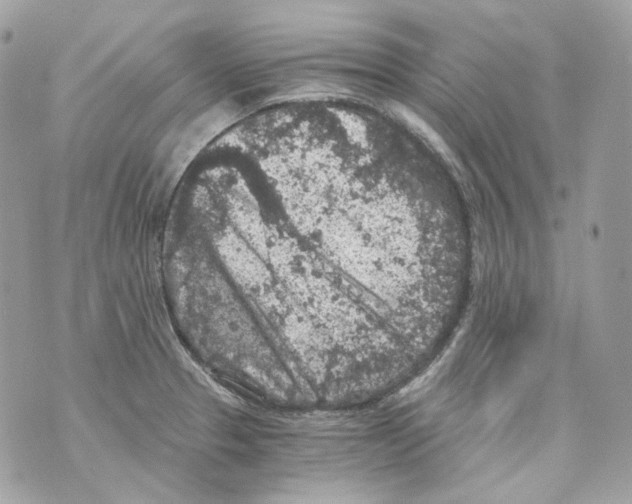 X0000069811329200606161839