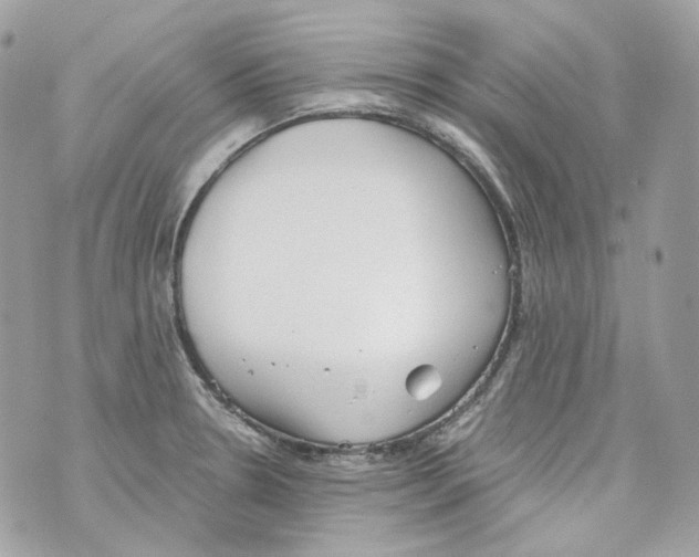 X0000069811330200606161839