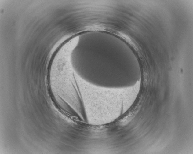 X0000069811331200606161839