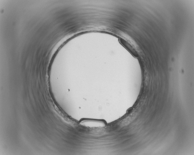 X0000069811332200606161839