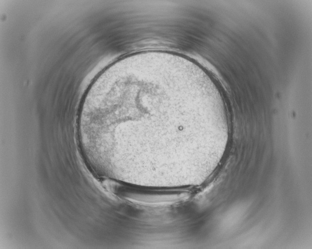 X0000069811333200606161839