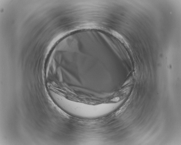 X0000069811334200606161840